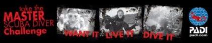 MSD_Web_Banner_08-3004