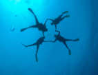scubadiver